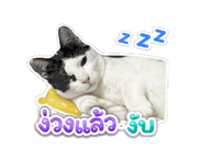 845316271