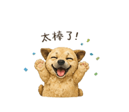 845324090