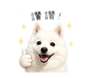 845324346