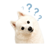 845324347