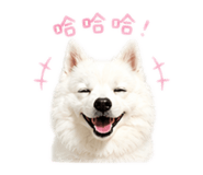 845324351
