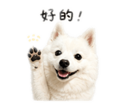 845324352