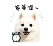 845324354