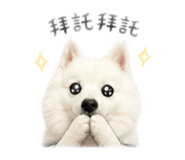 845324361