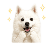 845324375