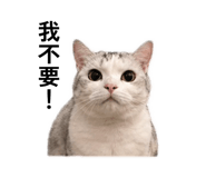 845324516