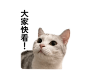 845324519