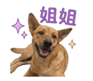 845324567