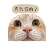 845324842