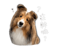 845333660