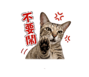 845334549