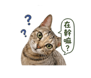 845334552