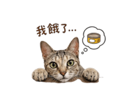 845334555