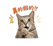 845334558