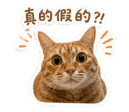 845335076