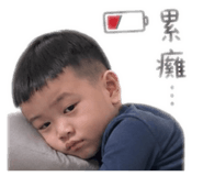 845335137