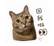 845335257