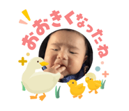 845336342