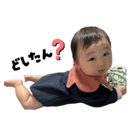 845336508