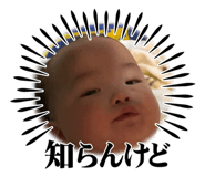 845336527