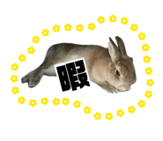 845336560