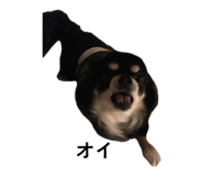 845336572