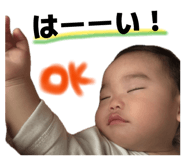 845337044