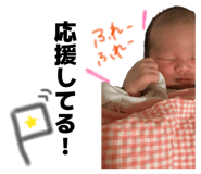 845337072