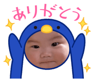 845337233