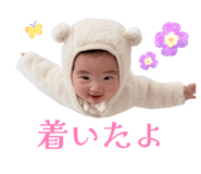 845337506