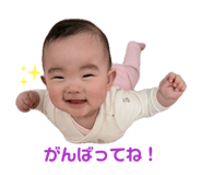845337519