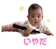 845337525
