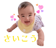 845337528
