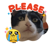 845337777