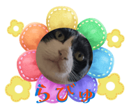 845337781