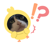 845337784