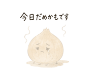 845337896