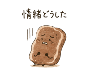 845337905