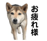 845342000
