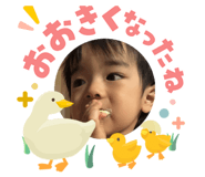 845342053