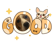 845342508