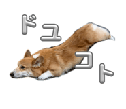 845342753