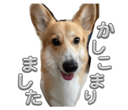 845342754