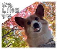 845342759