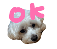 845342890