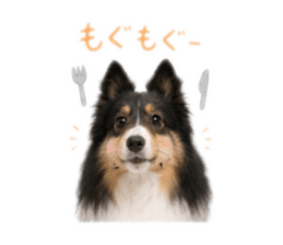 845342953