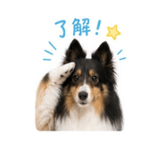 845342969