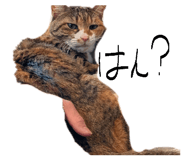 845343026