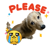 845343107