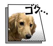 845343108